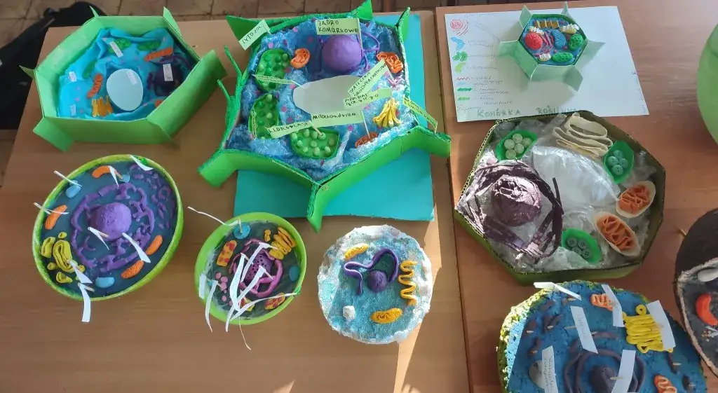 Jak wykonać model komórki roślinnej - krok po kroku z materiałami