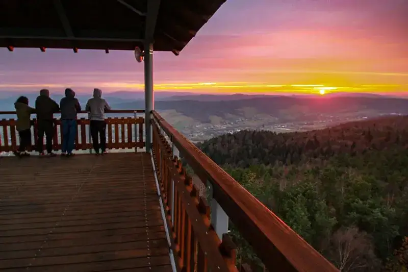 Najciekawsze atrakcje w Rożnowie, które musisz zobaczyć