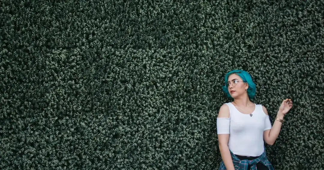 Szybko rosnące rośliny na żywopłot – stwórz gęsty i piękny żywopłot