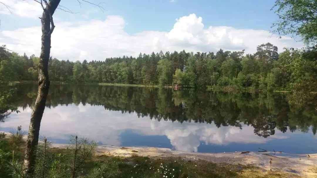 Czarny Staw w Puszczy Niepołomickiej: Tajemnice natury