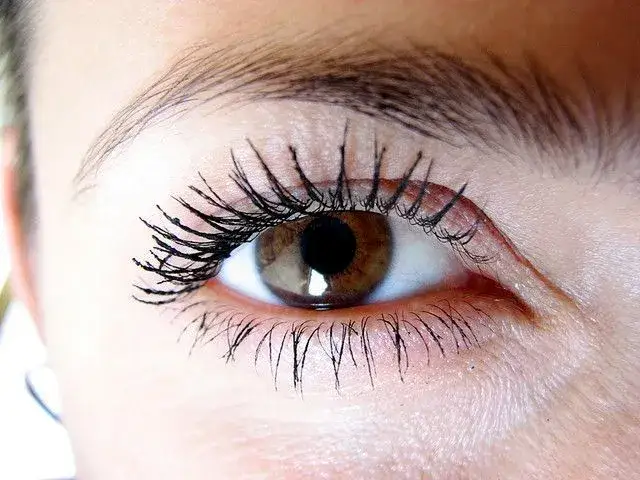 Jak prawidłowo nakładać olejek rycynowy na rzęsy dla szybszego wzrostu i gęstości