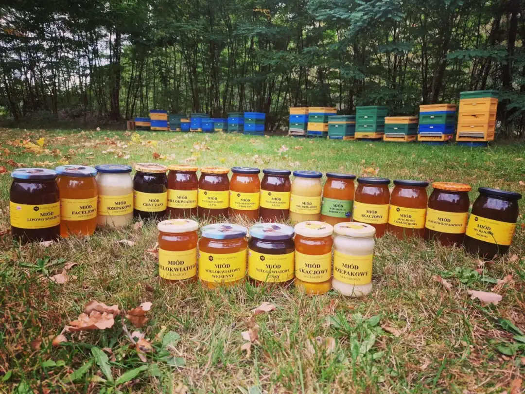 Gdzie kupić prawdziwy miód w Warszawie – uniknij fałszywych produktów