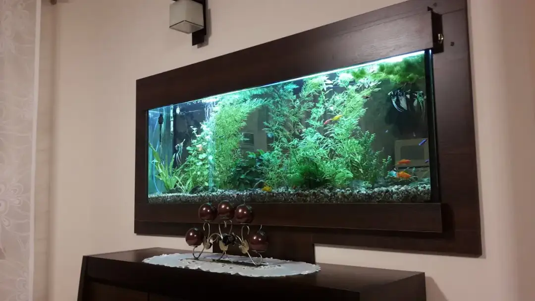 Jak zrobić akwarium w ścianie: krok po kroku do efektownej aranżacji