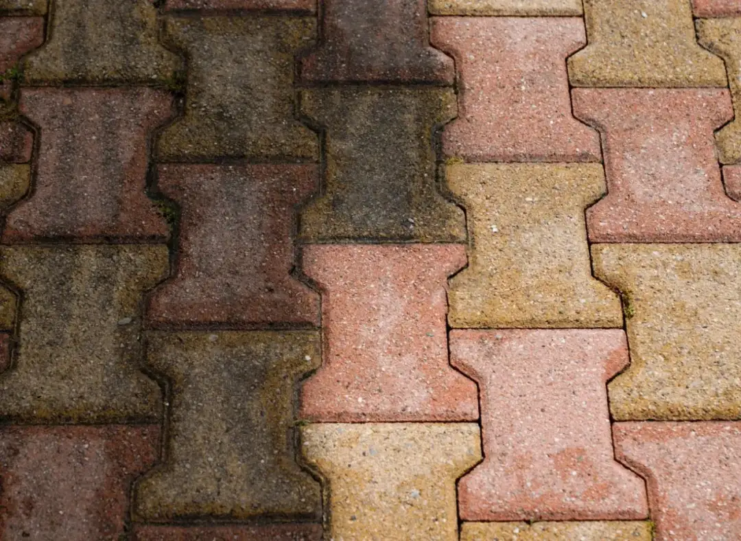 Brudna kostka brukowa z widocznymi glonami, która pokazuje, jak usunąć glony z kostki brukowej. Połowa nawierzchni jest czysta i kolorowa, druga połowa ciemna i zarośnięta.