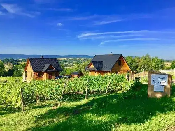 Noclegi w winnicach Dolnego Śląska – idealne miejsce na relaks i degustację