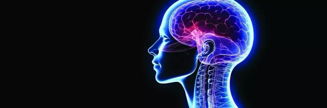 Niedobór wapnia: Cichy sprawca lęku, drażliwości i mgły mózgowej?