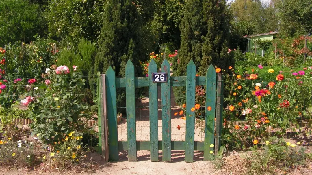 Czy działka ROD wchodzi do majątku wspólnego? Sprawdź, co warto wiedzieć