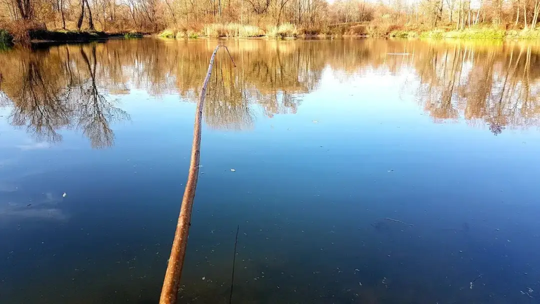 Jak zrobić wędkę z patyka - proste kroki na udane wędkowanie