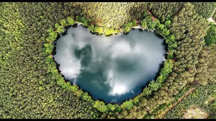 Jezioro Czarne Lubuskie – tajemniczy skarb natury w sercu lasu