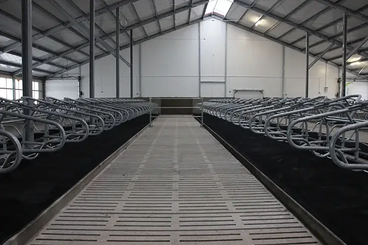 Ile kosztuje budowa obory na 50 krów? Zaskakujące koszty i czynniki wpływające na cenę