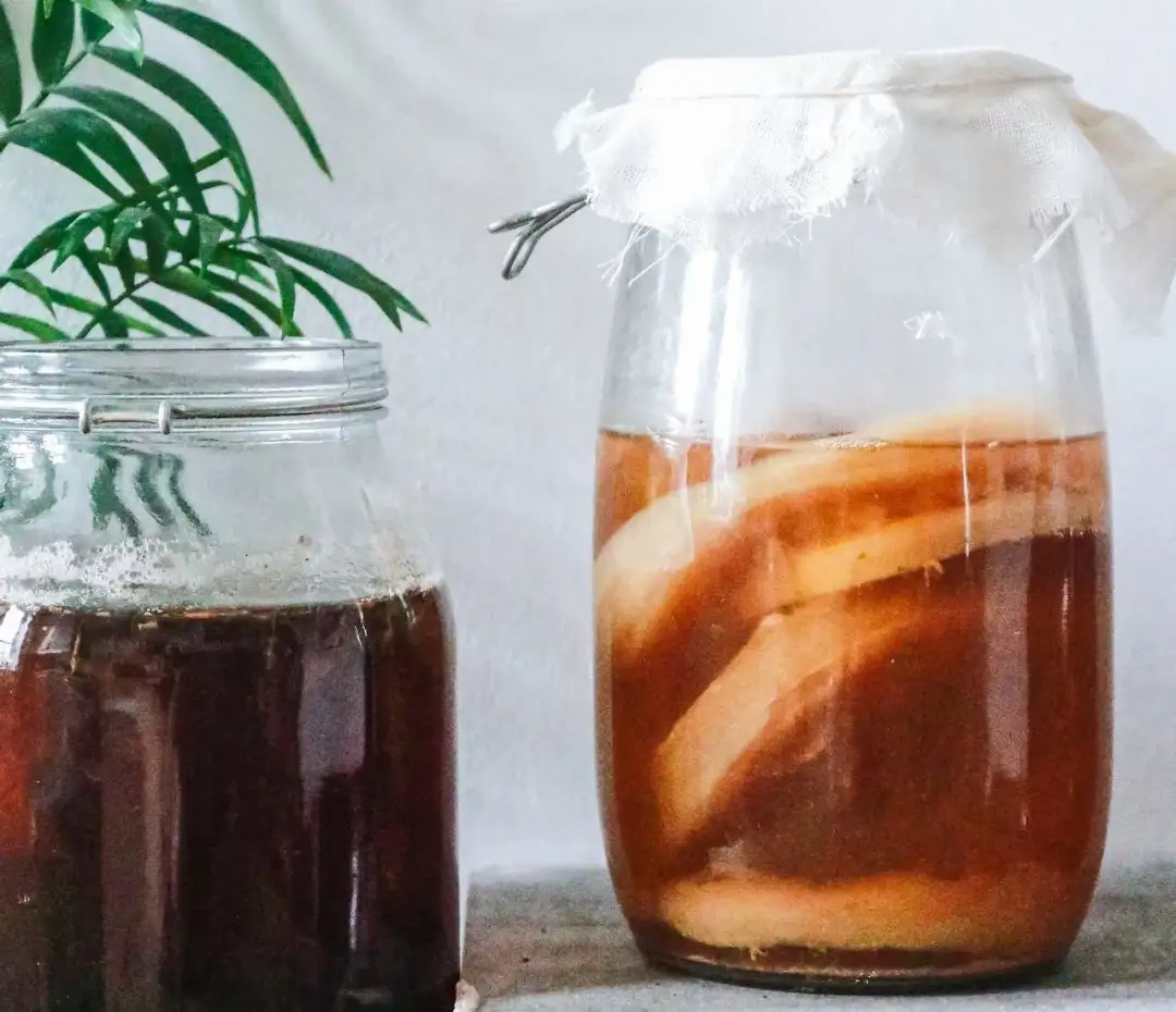 Kombucha skąd pochodzi? Odkryj jej fascynującą historię i korzenie