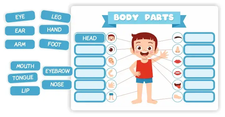 Skróty i terminy z "CIA" po angielsku - co warto wiedzieć o skrótach i terminach