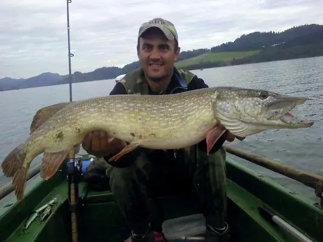 Wędkowanie na jeziorze czorsztyńskim: ryby, metody i zasady połowu