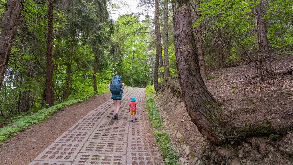Krawców Wierch: Przewodnik po szlakach i Bacówce. Którą trasę wybrać?