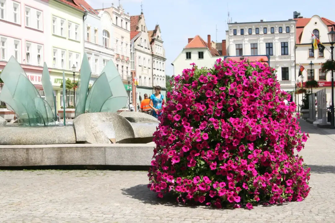 Kwietnik kaskadowy jak zrobić - proste kroki do pięknej aranżacji