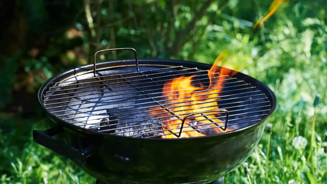 Płomienie tańczą na ruszcie grilla, pokazując, jak rozpalac grila. W tle zielona trawa i krzewy.