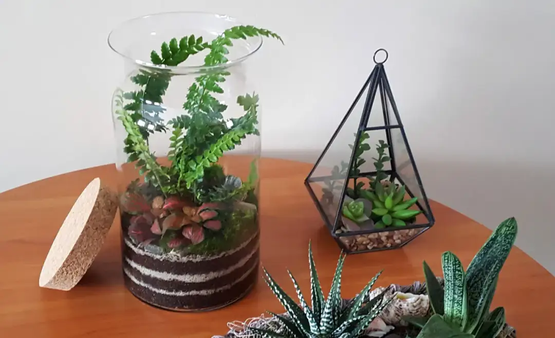 Jak zrobić ogród w szkle? Proste kroki i cenne wskazówki, które zaskoczą!