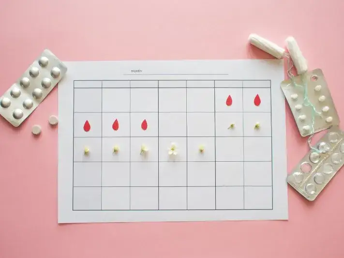 Jak powstaje miesiączka? Poznaj tajemnice cyklu menstruacyjnego