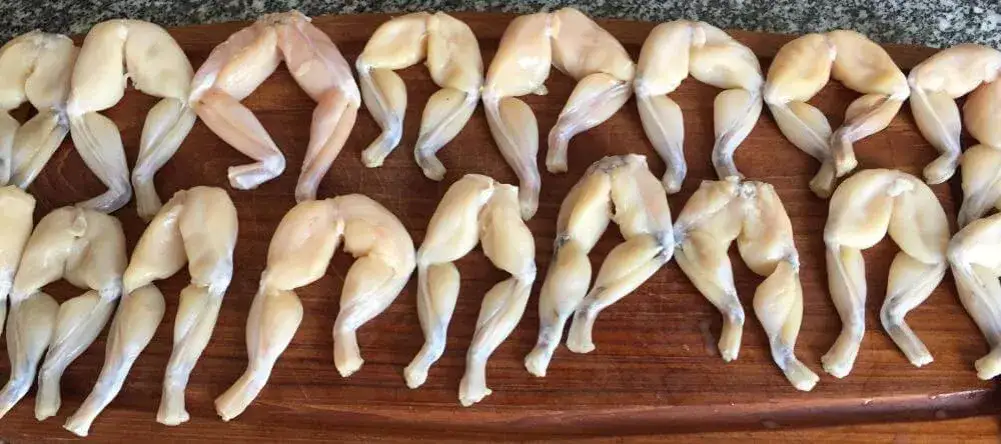 Gdzie zjeść żabie udka w Paryżu? Odkryj najlepsze restauracje