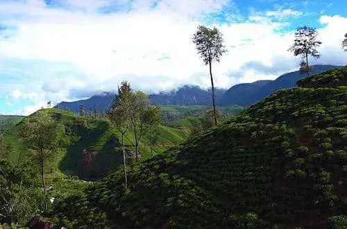 Godzina na Sri Lance - Aktualna strefa czasowa i czas lokalny