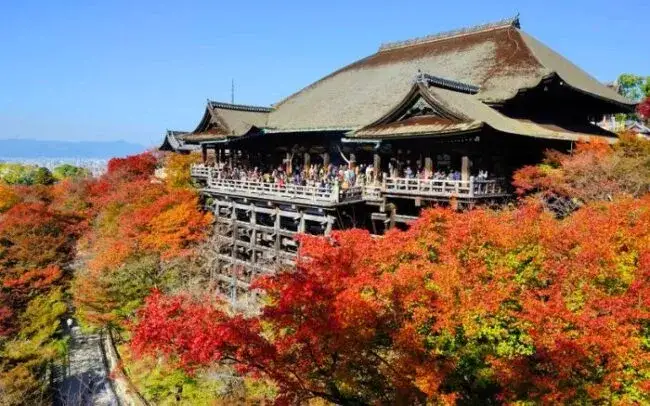 Kiedy najlepiej jechać do Japonii, aby uniknąć tłumów i cieszyć się pięknem?