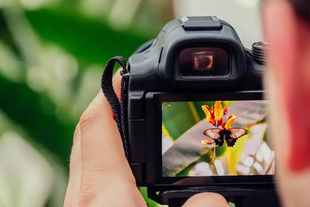 Ile kosztuje aparat do zdjęć? Sprawdź ceny i porady zakupowe