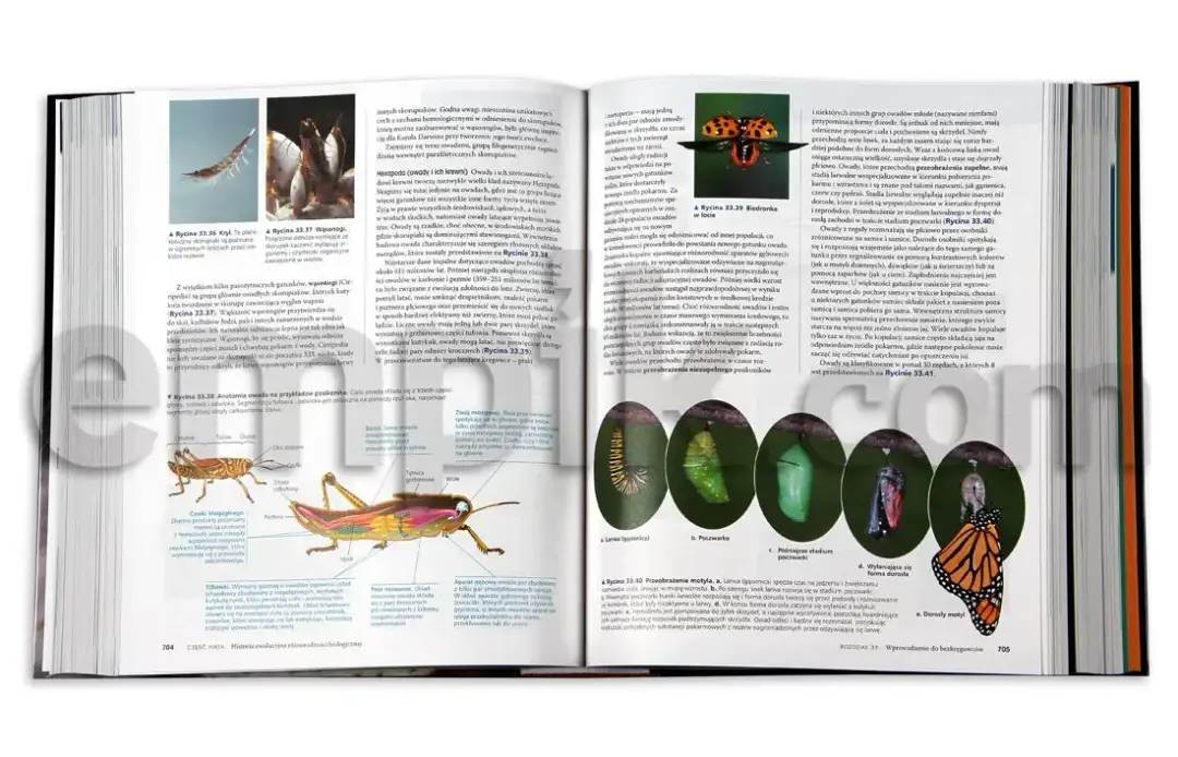 Biologia Villego czy Campbella – który podręcznik wybrać dla sukcesu?