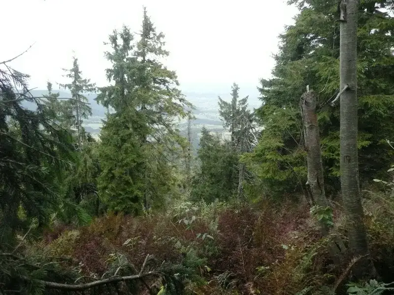 Rezerwaty przyrody Kraków – odkryj piękno natury w mieście