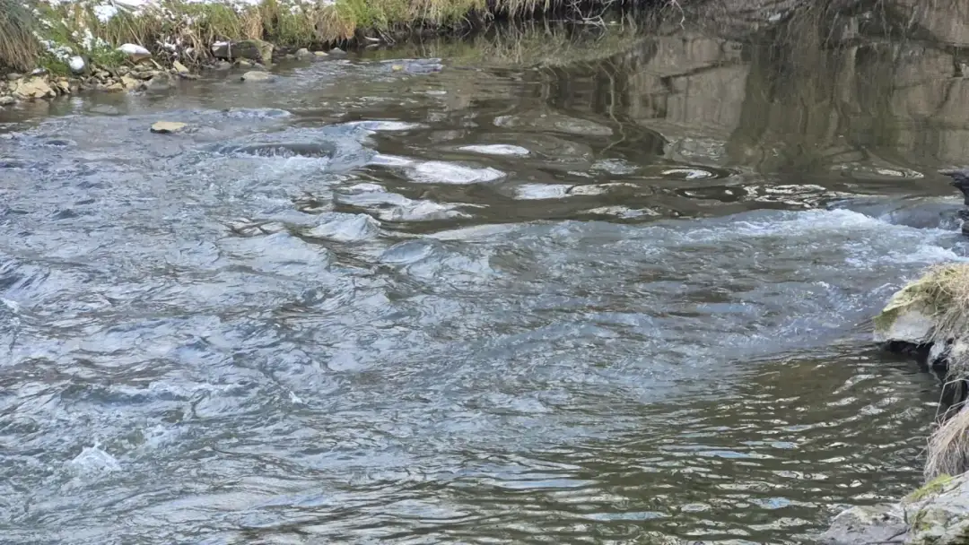 Jaka rzeka płynie przez Lublin? Odkryj Bystrzycę i jej skarby