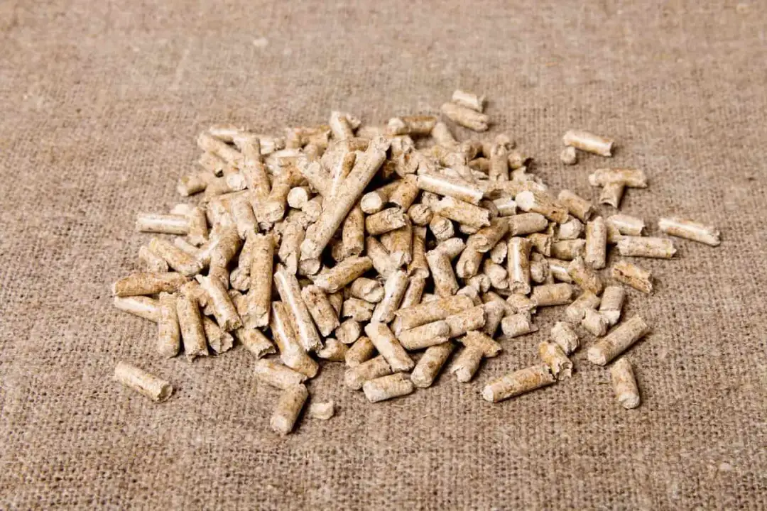 Czy ceny pelletu spadną? Analiza trendów i prognozy na przyszłość