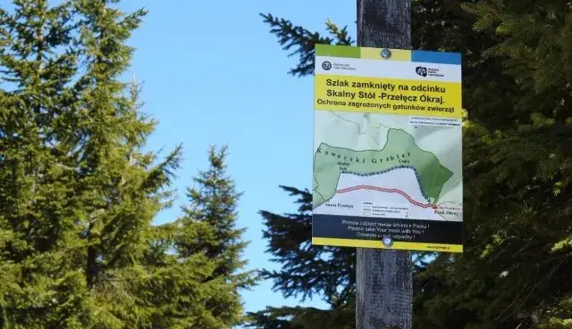 Czy szlaki w Karkonoszach są zamknięte? Sprawdź aktualny status i powody