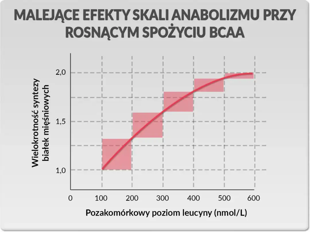 Wykres pokazuje malejące efekty anaboliczne przy rosnącym spożyciu BCAA. Synteza białek mięśniowych rośnie wraz z poziomem leucyny, ale coraz wolniej.