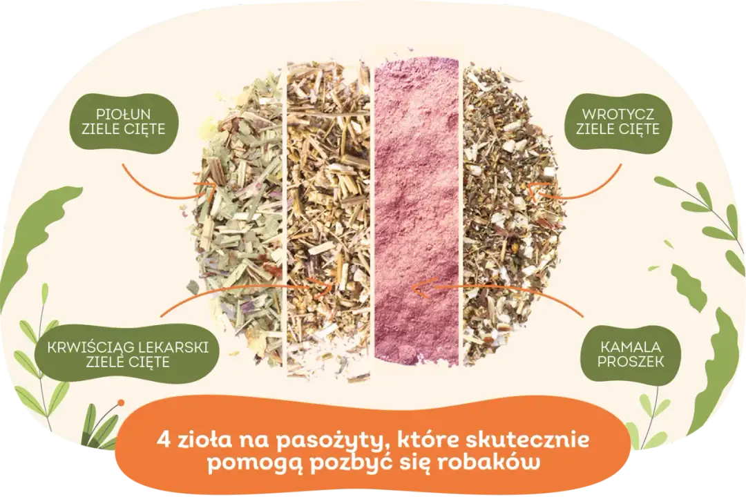 Czym odrobaczać psa? Skuteczne metody i naturalne alternatywy