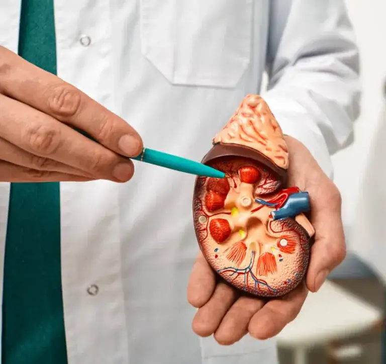 Urolog od czego? Poznaj najważniejsze powody wizyty u specjalisty