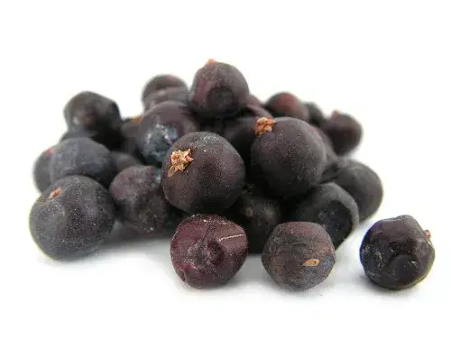 Gdzie kupić jałowiec przyprawa? Sprawdzone sklepy i oferty