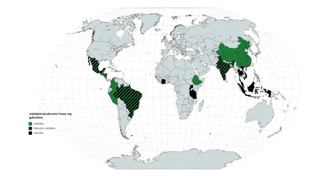 Kto jest największym producentem kawy na świecie? Zgadniesz?