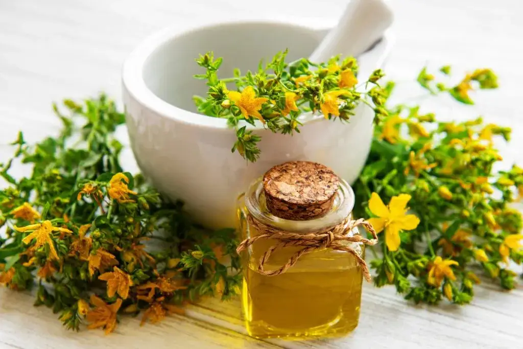 Jak stosować nalewkę z dziurawca, aby uniknąć skutków ubocznych?