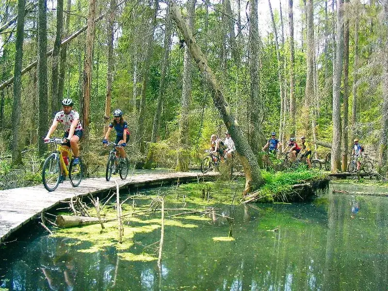 Biebrzański Park Narodowy: najlepsze trasy rowerowe i ich atrakcje
