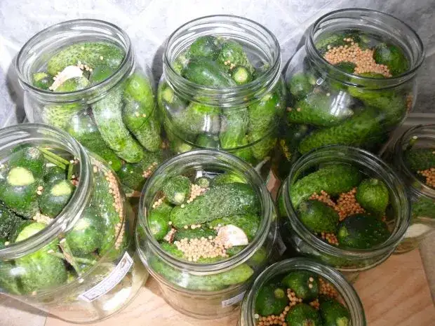 Czy do ogórków kiszonych daje się gorczycę? Poznaj zalety i wady