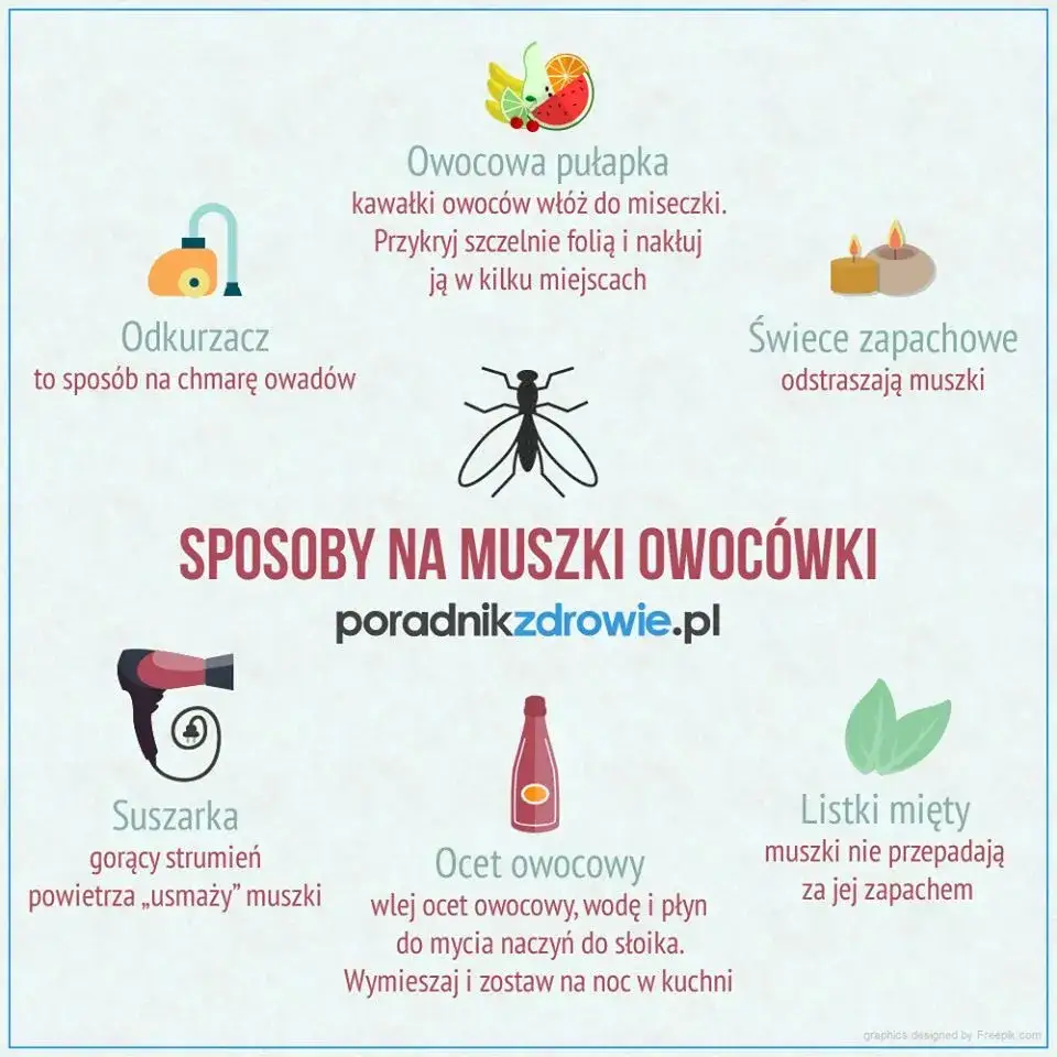 Skuteczne sposoby na pozbycie się muszek owocówek w kuchni