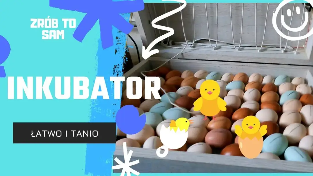 Jak zrobić inkubator z butelki – prosty sposób na wylęganie jajek w domu