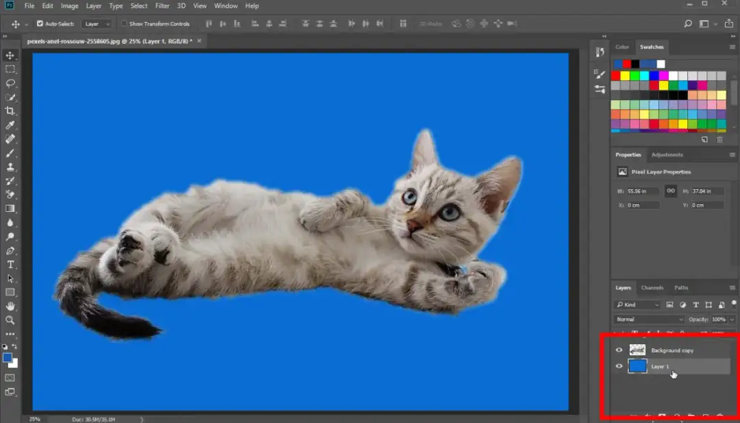 Jak zmienić kolor tła w Photoshopie - proste metody krok po kroku