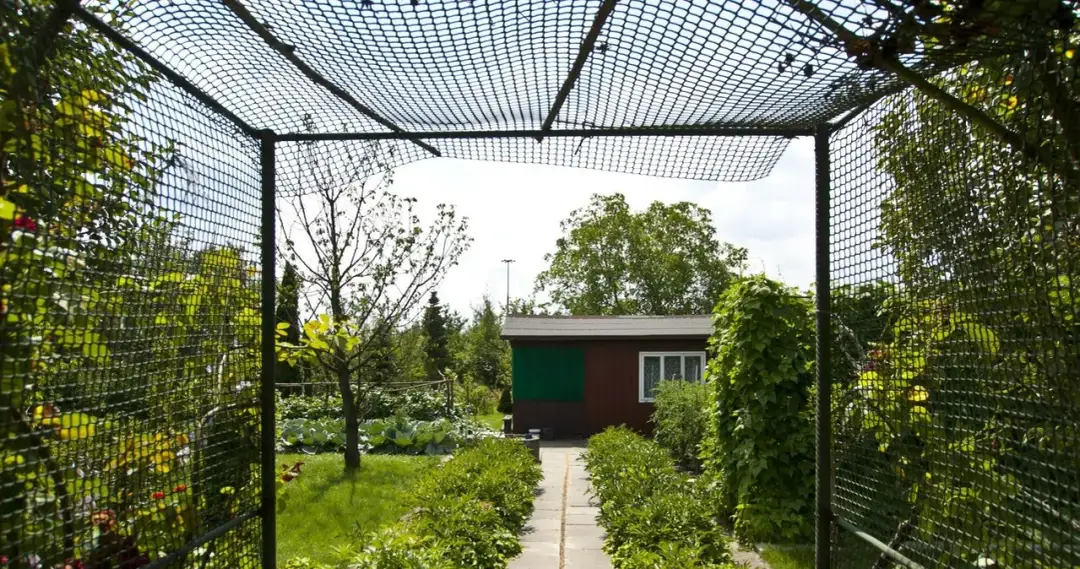 Czy działki ROD przejdą na własność? Przyszłość i aktualne przepisy