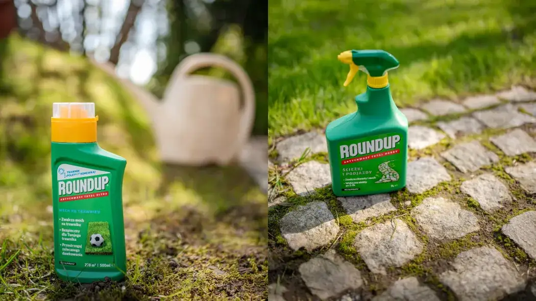 Skuteczne rozwiązania w walce z chwastami w doniczkach