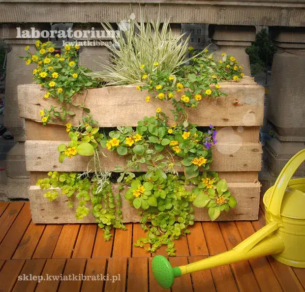 Jak zrobić kwietnik z europalety: 8 prostych kroków DIY