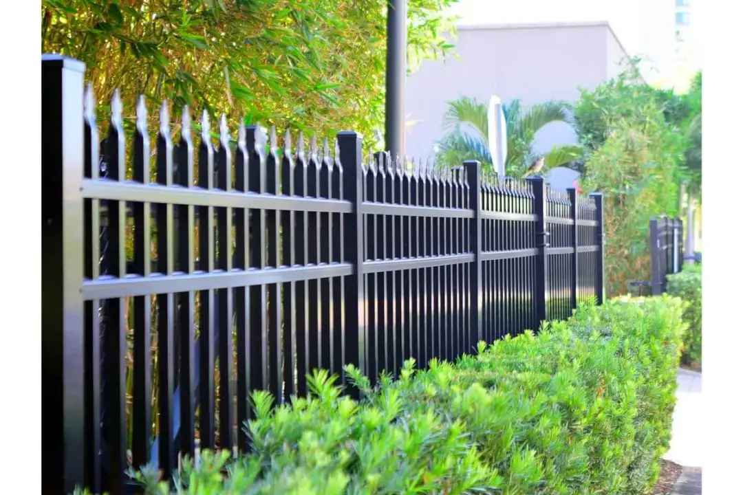 Czym ogrodzić ogród, aby zapewnić estetykę i prywatność przestrzeni?