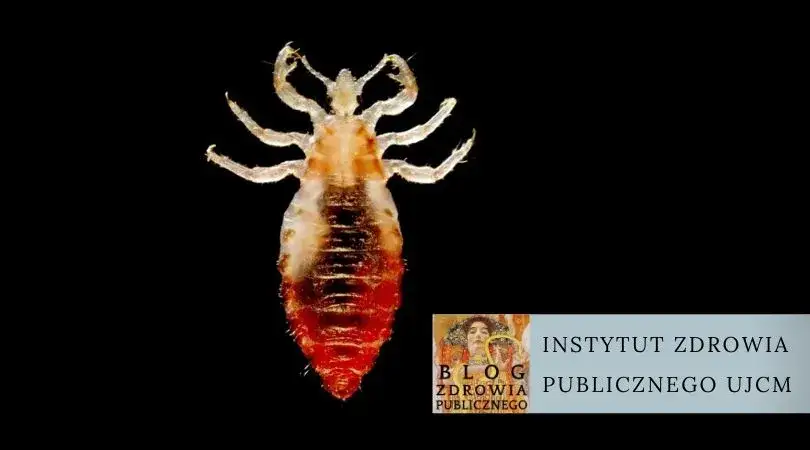 Czy pielęgniarka szkolna może sprawdzać głowy? Poznaj ważne informacje