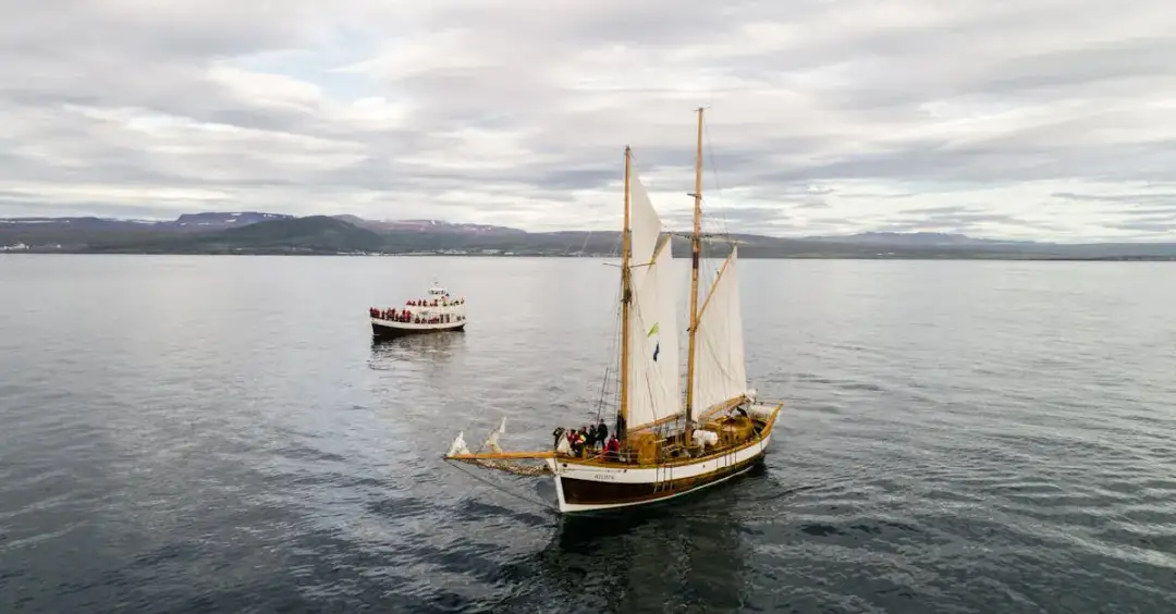 Żeglarz odkrywca: historia, najważniejsze postacie i ich osiągnięcia