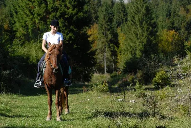 Stadnina Koni Rajd w Jaworkach - idealne miejsce na jazdę konną