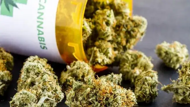 THC: Czy jest zdrowe? Medyczne zastosowania vs. Ryzyka